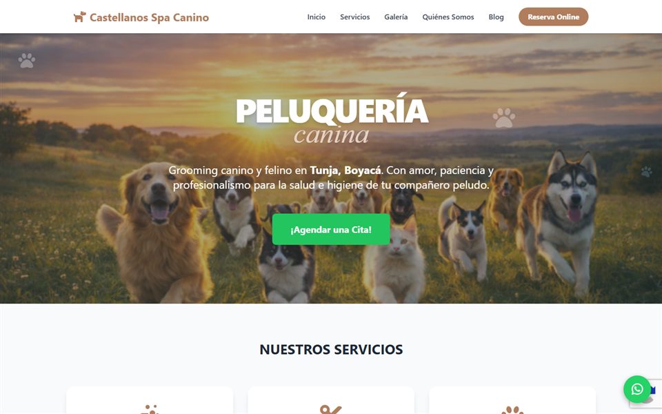 Página de inicio del sitio web de Castellanos Spa Canino, peluquería canina en Tunja